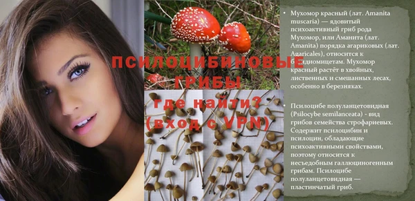 mdpv Кодинск