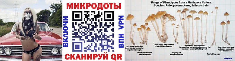 Псилоцибиновые грибы ЛСД  Купить  Бор 