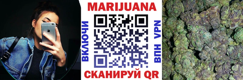 Конопля сатива Бор